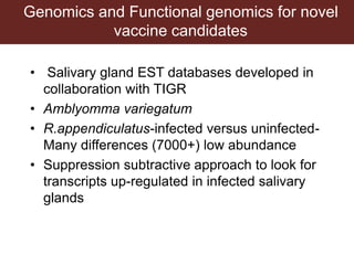Tick research at ILRI