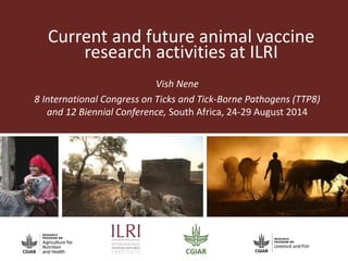 Current and future animal vaccine 
research activities at ILRI 
Vish Nene 
8 International Congress on Ticks and Tick-Borne Pathogens (TTP8) 
and 12 Biennial Conference, South Africa, 24-29 August 2014 
 