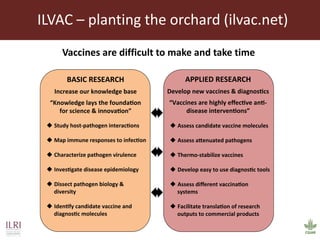 Current and future animal vaccine research activities at ILRI