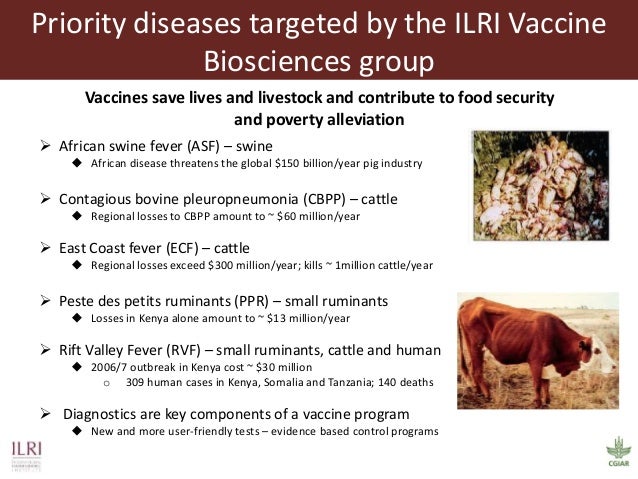 Current and future animal vaccine research activities at ILRI