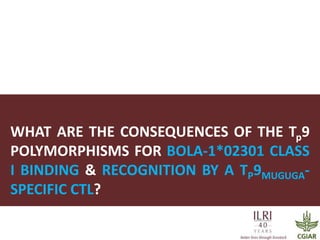 Determinants required for the recognition of the Tp9 CTL Epitope from Theileria parva