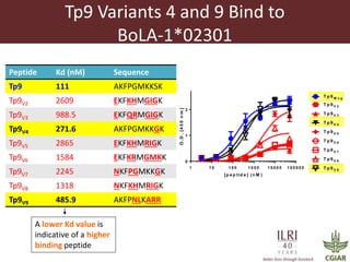 Determinants required for the recognition of the Tp9 CTL Epitope from Theileria parva