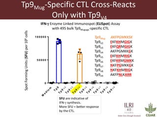 Determinants required for the recognition of the Tp9 CTL Epitope from Theileria parva