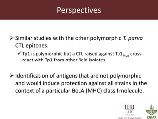 Determinants required for the recognition of the Tp9 CTL Epitope from Theileria parva