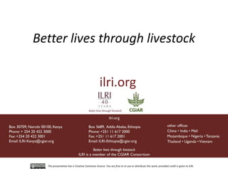 Determinants required for the recognition of the Tp9 CTL Epitope from Theileria parva