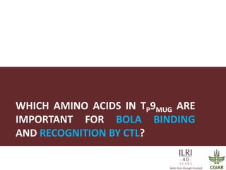 Determinants required for the recognition of the Tp9 CTL Epitope from Theileria parva