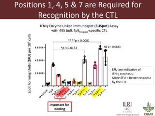 Determinants required for the recognition of the Tp9 CTL Epitope from Theileria parva