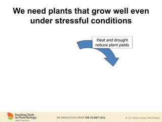 We need plants that grow well even
under stressful conditions
Heat and drought
reduce plant yields
 
