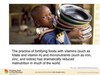 The practice of fortifying foods with vitamins (such as
folate and vitamin A) and micronutrients (such as iron,
zinc, and iodine) has dramatically reduced
malnutrition in much of the world.
Photo credit: © UNICEF/NYHQ1998-0891/Giacomo Pirozzi
 
