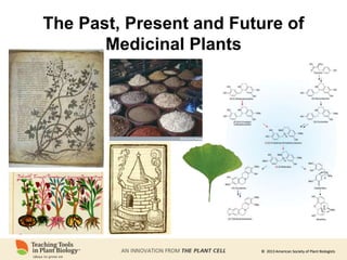 © 2013 American Society of Plant Biologists
© 2013 American Society of Plant Biologists
The Past, Present and Future of
Medicinal Plants
 