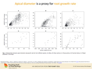 Root Ph Phenomics of Root System Architecture: Measuring and Analyzing Root ...