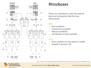 Root Ph Phenomics of Root System Architecture: Measuring and Analyzing Root ...