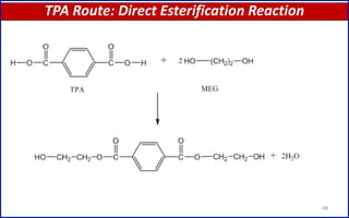 TPA Route: Direct Esterification Reaction
48
 