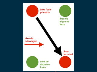 área focal
             primária

                          área de
                          alqueive
                          forte




eixo de
orientação



                             área
                             terminal


             área de
             alqueive
             fraco
 