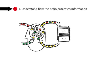 1. Understand how the brain processes information
 
