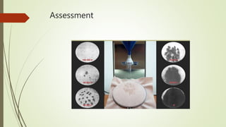 Assessment
 