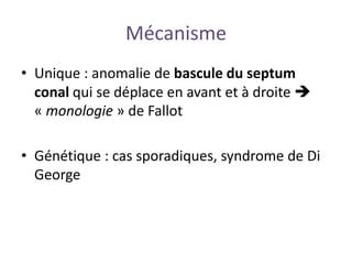 Mécanisme
• Unique : anomalie de bascule du septum
conal qui se déplace en avant et à droite 
« monologie » de Fallot
• Génétique : cas sporadiques, syndrome de Di
George
 
