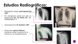 Comprehensive Overview of Clavicle, Humerus, and Elbow Anatomy and ...