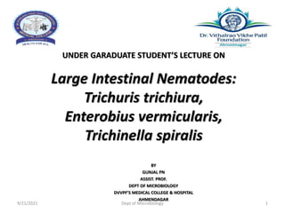 UNDER GARADUATE STUDENT’S LECTURE ON
BY
GUNJAL PN
ASSIST. PROF.
DEPT OF MICROBIOLOGY
DVVPF’S MEDICAL COLLEGE & HOSPITAL
AHMENDAGAR
Large Intestinal Nematodes:
Trichuris trichiura,
Enterobius vermicularis,
Trichinella spiralis
9/21/2021 Dept of Miicrobiology 1
 