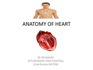 ANATOMY OF HEART
BY DR NIKUNJ
(CTS RESIDENT STAR HOSPITAL)
(Coordinator:DR PSN)
 