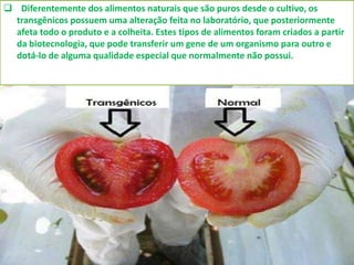  Diferentemente dos alimentos naturais que são puros desde o cultivo, os
transgênicos possuem uma alteração feita no laboratório, que posteriormente
afeta todo o produto e a colheita. Estes tipos de alimentos foram criados a partir
da biotecnologia, que pode transferir um gene de um organismo para outro e
dotá-lo de alguma qualidade especial que normalmente não possui.
 