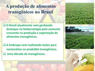 A produção de alimentos
transgênicos no Brasil
 O Brasil atualmente vem ganhando
destaque na biotecnologia pelo aumento
crescente na produção e exportação de
alimentos transgênicos.
 A Embrapa vem realizando testes para
nacionalizar os produtos transgênicos.
 Uma década de transgênicos.
 