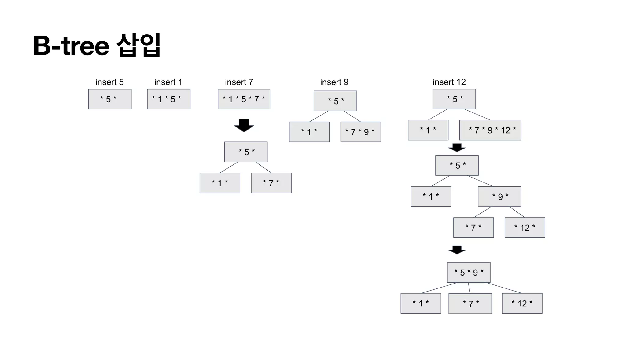 B-tree 삽입 