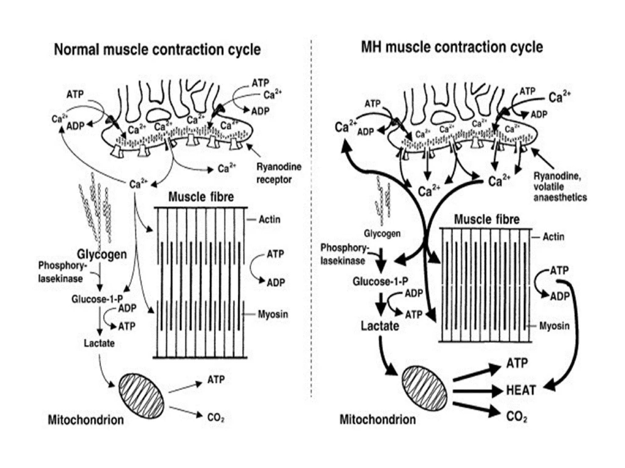 ttt....................................ppt