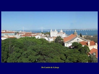 Do Castelo de S.Jorge 