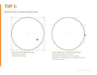 Illustrator Basics | PDF