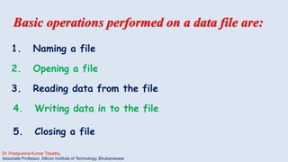 Python-File handling-slides-pkt | PDF