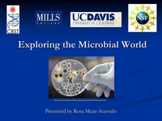 Exploring the Microbial World http://www.123rf.com/photo_5320347_hand-holds-petri-dish-with-bacteria-culture.html Presented by Rosa Meza-Acevedo  