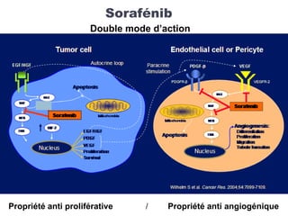 Sorafénib
Propriété anti proliférative / Propriété anti angiogénique
Double mode d’action
 