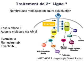 Traitement de 2nd
Ligne ?
c-MET (HGF R : Hepatocyte Growth Factor)
TIVANTINIB
Essais phase II
Aucune molécule n’a AMM
Everolimus
Ramucirumab
Tivantinib…
Nombreuses molécules en cours d’évaluation
 
