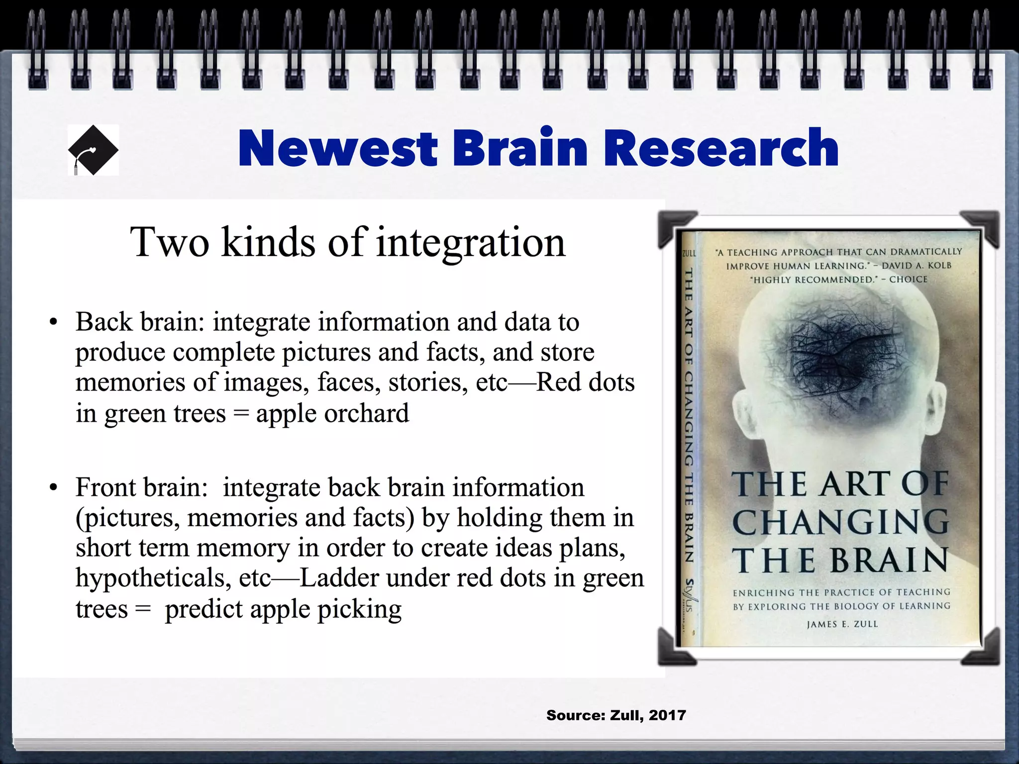 Newest Brain Research
Source: Zull, 2017
 