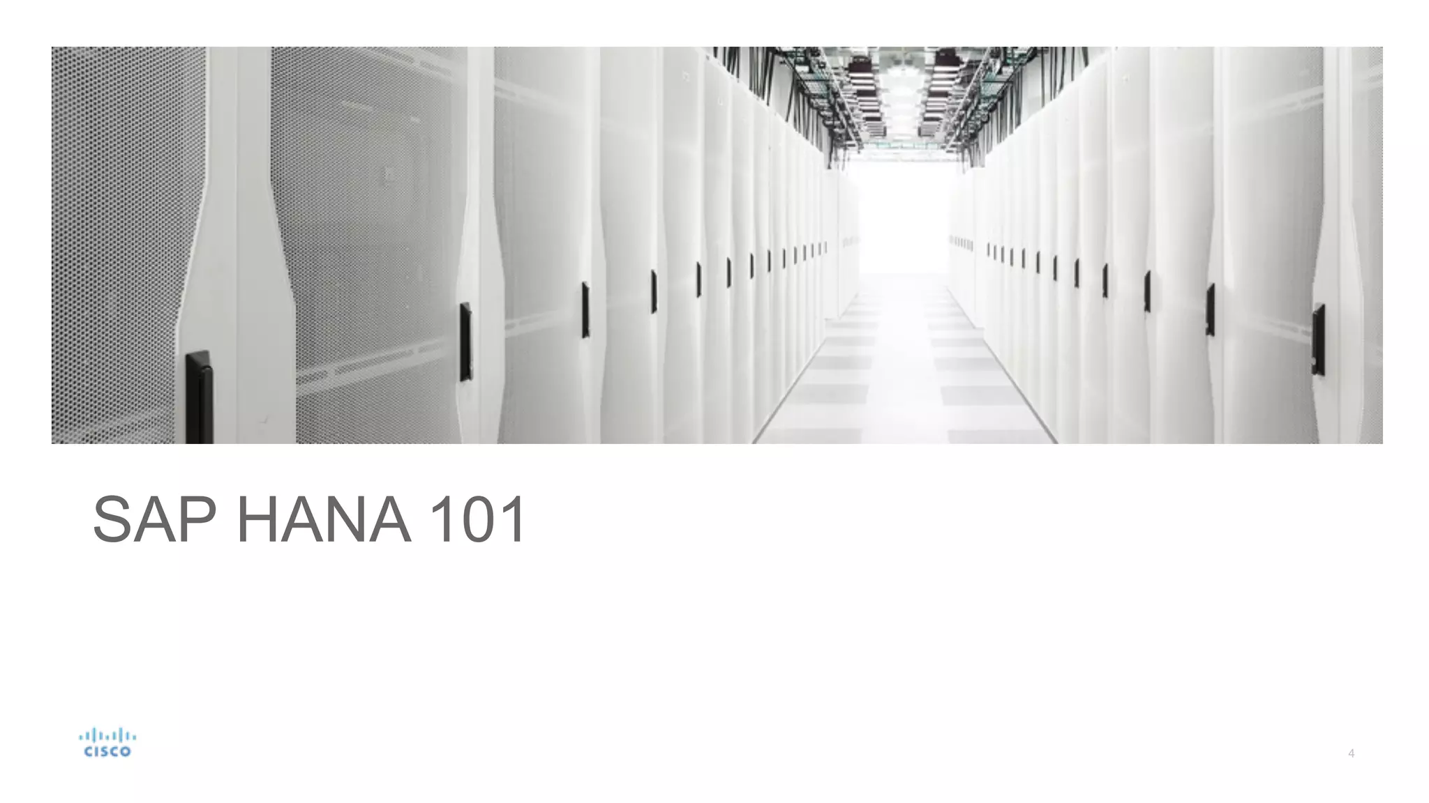SAP HANA 101
 