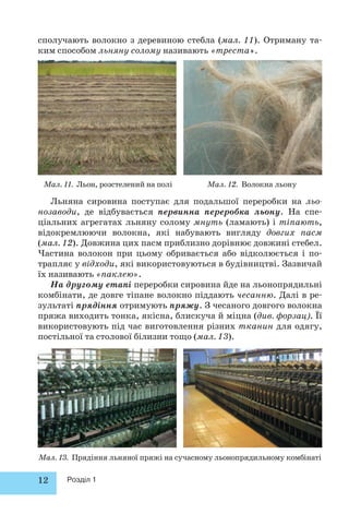 сполучають волокно з деревиною стебла (мал. 11). Отриману та- 
ким способом льняну солому називають «треста». 
Мал. 11. Льон, розстелений на полі Мал. 12. Волокна льону 
Льняна сировина поступає для подальшої переробки на льо- 
нозаводи, де відбувається первинна переробка льону. На спе- 
ціальних агрегатах льняну солому мнуть (ламають) і тіпають, 
відокремлюючи волокна, які набувають вигляду довгих пасм 
(мал. 12). Довжина цих пасм приблизно дорівнює довжині стебел. 
Частина волокон при цьому обривається або відколюється і по- 
трапляє у відходи, які використовуються в будівництві. Зазвичай 
їх називають «паклею». 
На другому етапі переробки сировина йде на льонопрядильні 
комбінати, де довге тіпане волокно піддають чесанню. Далі в ре- 
зультаті прядіння отримують пряжу. З чесаного довгого волокна 
пряжа виходить тонка, якісна, блискуча й міцна (див. форзац . Її 
використовують під час виготовлення різних тканин для одягу, 
постільної та столової білизни тощо (мал. 13). 
Мал. 13. Прядіння льняної пряжі на сучасному льонопрядильному комбінаті 
12 Розділ 1 
 