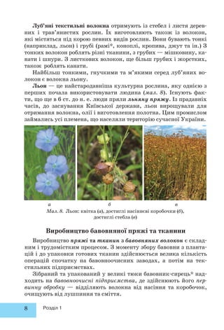 Луб’яні текстильні волокна отримують із стебел і листя дерев- 
них і трав’янистих рослин. Їх виготовляють також із волокон, 
які містяться під корою певних видів рослин. Вони бувають тонкі 
(наприклад, льон) і грубі (рамі*, коноплі, кропива, джут та ін.) З 
тонких волокон роблять різні тканини, з грубих — мішковину, ка- 
нати і шнури. З листкових волокон, ще більш грубих і жорстких, 
також роблять канати. 
Найбільш тонкими, гнучкими та м’якими серед луб’яних во- 
локон є волокна льону. 
Льон — це найстародавніша культурна рослина, яку однією з 
перших почала використовувати людина (мал. 8). Існують фак- 
ти, що ще в 6 ст. до н. е. люди пряли льняну пряжу. Із прадавніх 
часів, до заснування Київської держави, льон вирощували для 
отри мання волокна, олії і виготовлення полотна. Цим промислом 
займались усі племена, що населяли територію сучасної України. 
а б в 
Мал. 8. Льон: квітка (а), достиглі насіннєві коробочки (б), 
8 Розділ 1 
достиглі стебла (в) 
Виробництво бавовняної пряжі та тканини 
Виробництво пряжі та тканин з бавовняних волокон є склад- 
ним і трудомістким процесом. З моменту збору бавовни з планта- 
цій і до упаковки готових тканин здійснюється велика кількість 
операцій спочатку на бавовноочисних заводах, а потім на тек- 
стильних підприємствах. 
Зібраний та упакований у великі тюки бавовник-сирець* над- 
ходить на бавовноочисні підприємства, де здійснюють його пер- 
винну обробку — відділяють волокна від насіння та коробочок, 
очищують від лушпиння та сміття. 
 