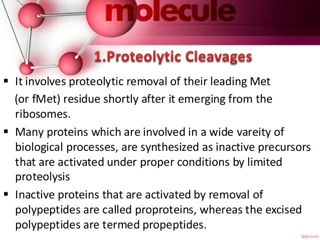 Post Translational Modification