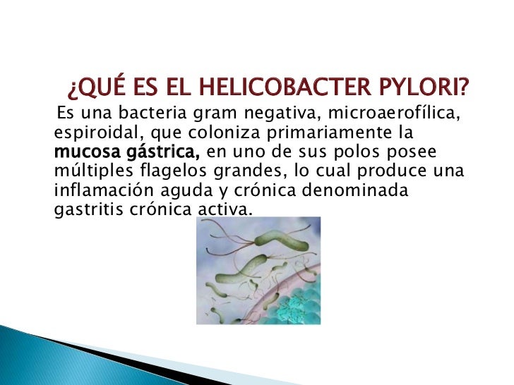 Helicobacter pylori