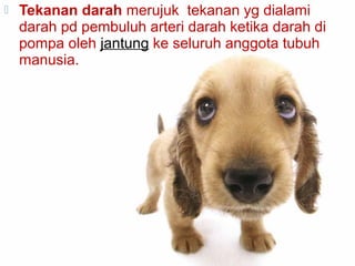 

Tekanan darah merujuk tekanan yg dialami
darah pd pembuluh arteri darah ketika darah di
pompa oleh jantung ke seluruh anggota tubuh
manusia.

 