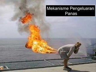 Mekanisme Pengeluaran
Panas

 
