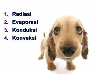 1. Radiasi
2. Evaporasi
3. Konduksi
4. Konveksi

 