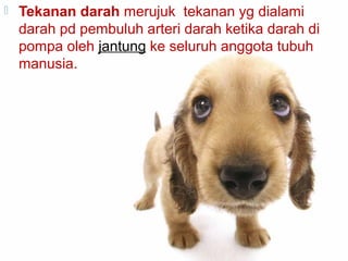 

Tekanan darah merujuk tekanan yg dialami
darah pd pembuluh arteri darah ketika darah di
pompa oleh jantung ke seluruh anggota tubuh
manusia.

 