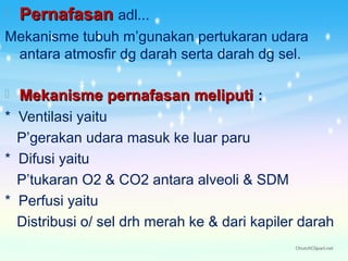 

Pernafasan adl...

Mekanisme tubuh m’gunakan pertukaran udara
antara atmosfir dg darah serta darah dg sel.


Mekanisme pernafasan meliputi :

* Ventilasi yaitu
P’gerakan udara masuk ke luar paru
* Difusi yaitu
P’tukaran O2 & CO2 antara alveoli & SDM
* Perfusi yaitu
Distribusi o/ sel drh merah ke & dari kapiler darah

 