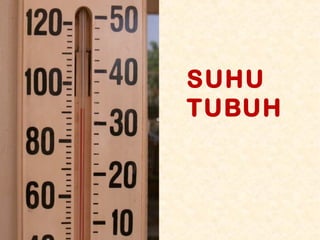 SUHU
TUBUH

 