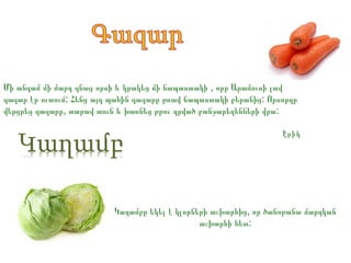 Մի անգամ մի մարդ գնաց որսի և կրակեց մի նապաստակի , որը Արամուսի լավ
գազար էր ուտում: Հենց այդ պահին գազարը թռավ նապաստակի բերանից: Որսորդը
վերցրեց գազարը, տարավ տուն և խառնեց թթու դրված բանջարեղենների վրա:
Էրիկ

Կաղամբը եկել է կլորների աշխարհից, որ ծանոթանա մարդկան
աշխարհի հետ:

 