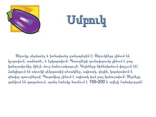 Սմբուկը ջերմասեր և խոնավասեր բանջարեղեն է: Սմբուկները լինում են
կլորավուն, տանձաձև, և երկարավուն: Պտուղների գունավորումը լինում է բաց
կանաչավունից մինչև մուգ մանուշակագույն: Կեղևները հիմնականում փայլուն են:
Հանդիպում են սմբուկի դեկորատիվ տեսակներ, սպիտակ, դեղին, կարմրավուն և
գծավոր պտուղներով: Պտղամիսը լինում է սպիտակ կամ բաց կանաչավուն: Սերմերը
գտնվում են պտղամսում, որոնց քանակը հասնում է 150-200 և ավելի քանակության:

 