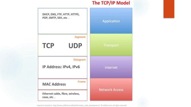 Tcp/ip model and protocol | PPTX