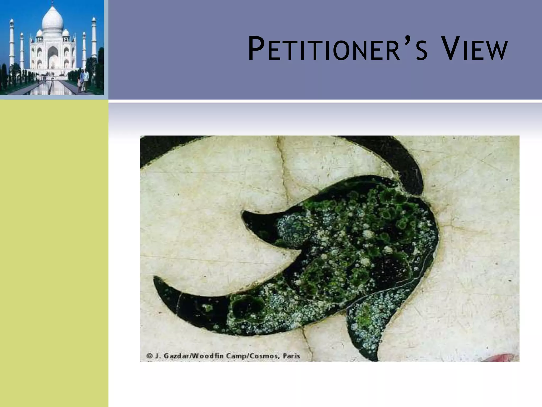 Petitioner’s ViewCauses of Damages - Foundries, Chemical / Hazardous industries and Mathura Refinery Marble Cancer – Yellowing of marbleMonument of International reputeNo degradation due to pollutionPreventive steps
